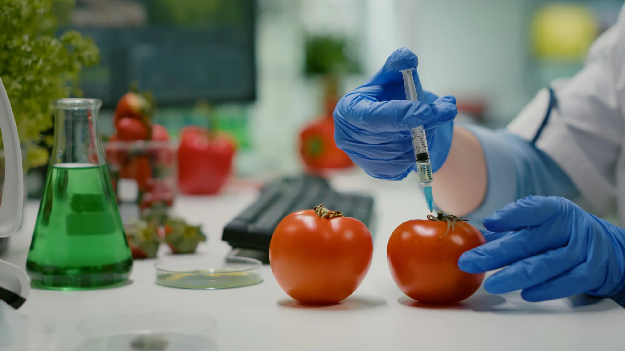 Laboratory quality testing